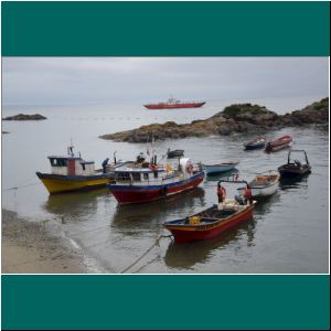 Caleta La Arena, 7.12.21