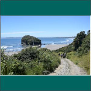 Chiloe, Ausflug zur Pinguinera Puñihuil, 16.12.21