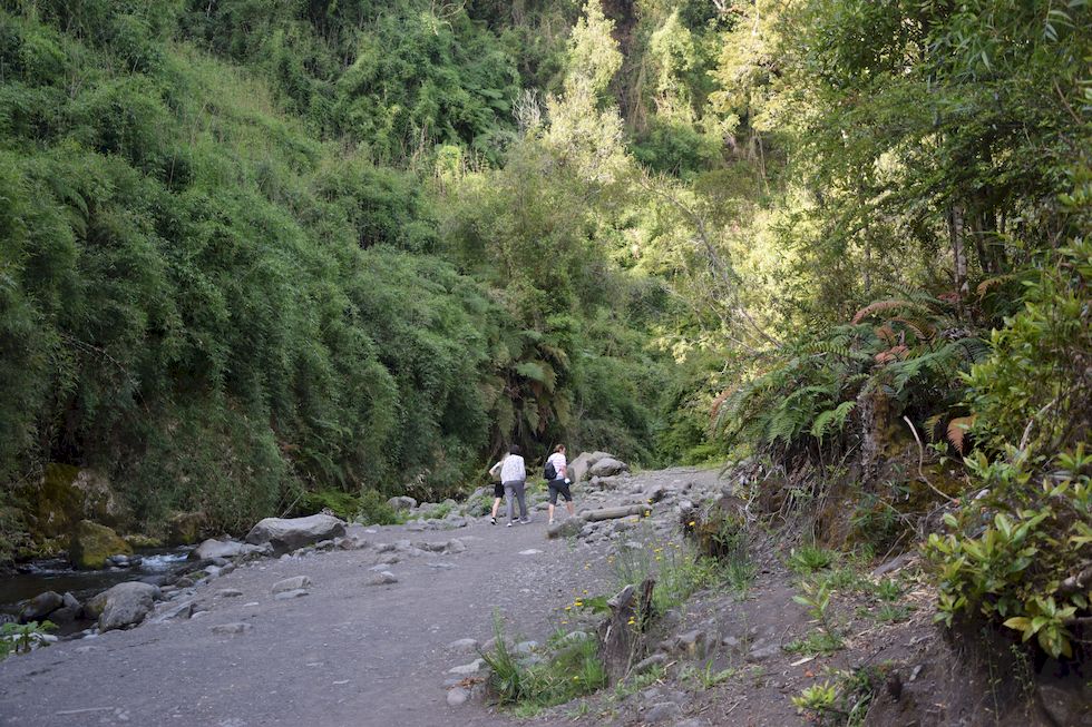 v060ap-0790-1-Las-Cascadas-10-12-m.jpg