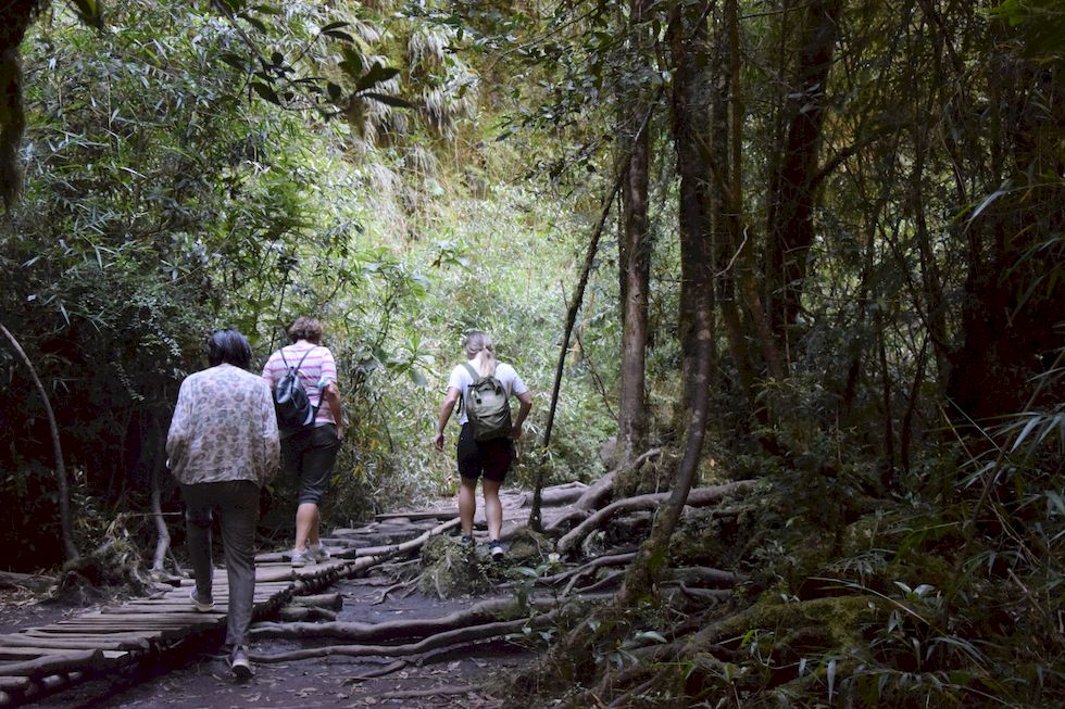 v066ap-0805-1-Las-Cascadas-10-12-m.jpg