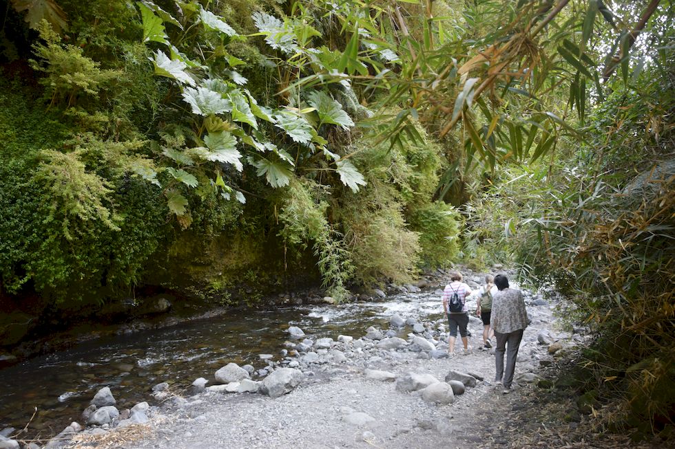 v067ap-0810-1-Las-Cascadas-10-12-m.jpg