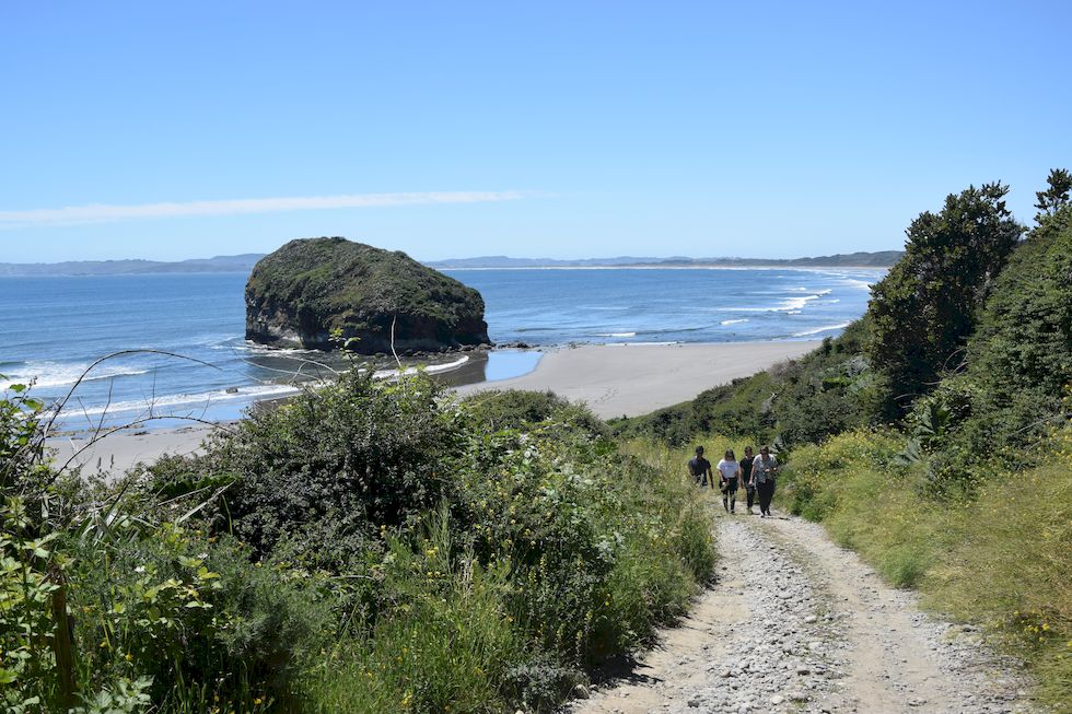 v082ap-0879-1-Chiloe-Punihuil-Pinguinera-16-12-m.jpg