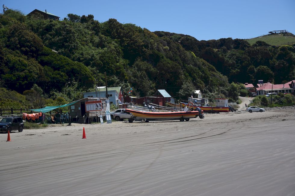 v087ap-0889-1-Chiloe-Punihuil-Pinguinera-16-12-m.jpg