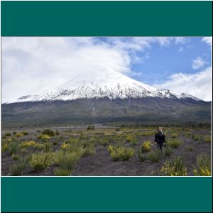 Puerto Varas, Petrohue, Alivion, Vulkan Osorno, 4.11.21