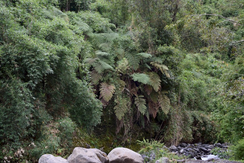 u088ap-0153-1-Las-Cascadas-12-11-m.jpg