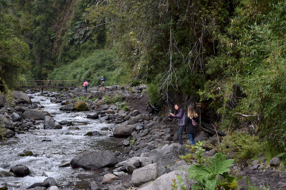 u091ap-0166-1-Las-Cascadas-12-11-m.jpg