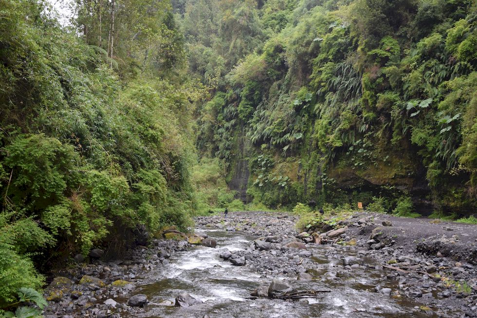 u093ap-0172-1-Las-Cascadas-12-11-m.jpg