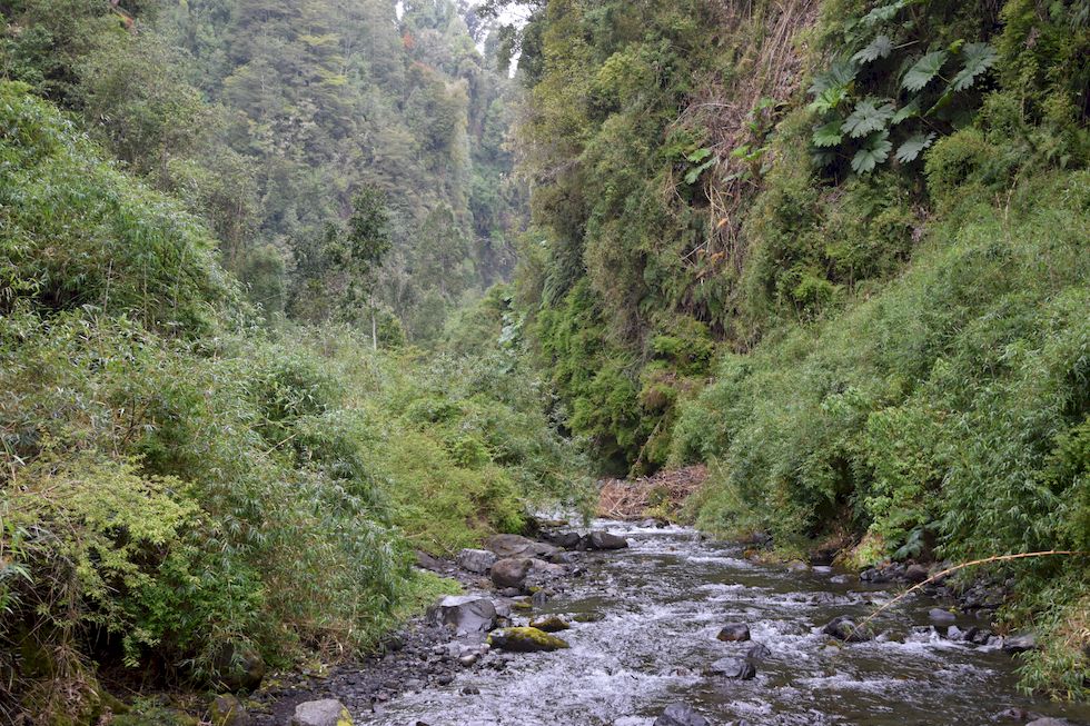 u100ap-0198-1-Las-Cascadas-12-11-m.jpg