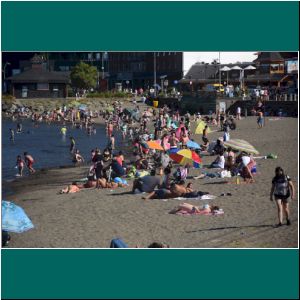 Puerto Varas, Strand bei der Molle, 28.1.22