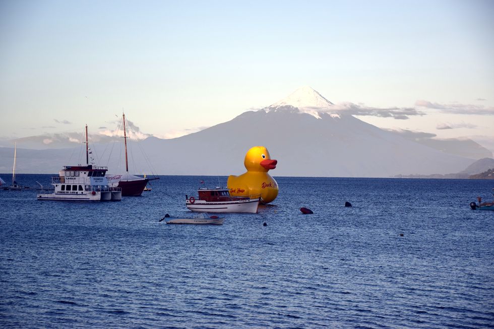 x023ap-0728-1-Lago-Llanquihue-Mole-Duck-House-Ente-17-3-m.jpg