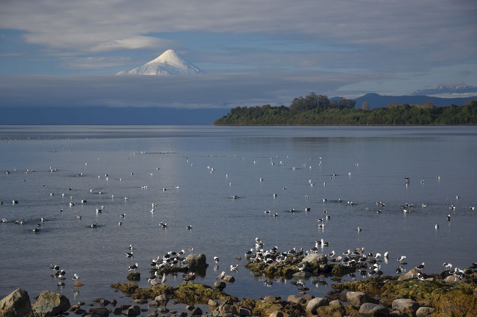 y002ap-0205-1-Puerto-Varas-Lago-Moewen-2-5-m.jpg