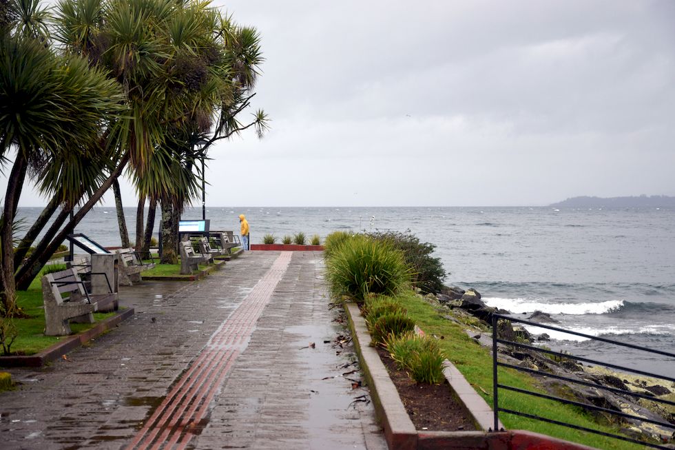 y033ap-0332-1-Puerto-Varas-Mole-Regen-21-5-m.jpg