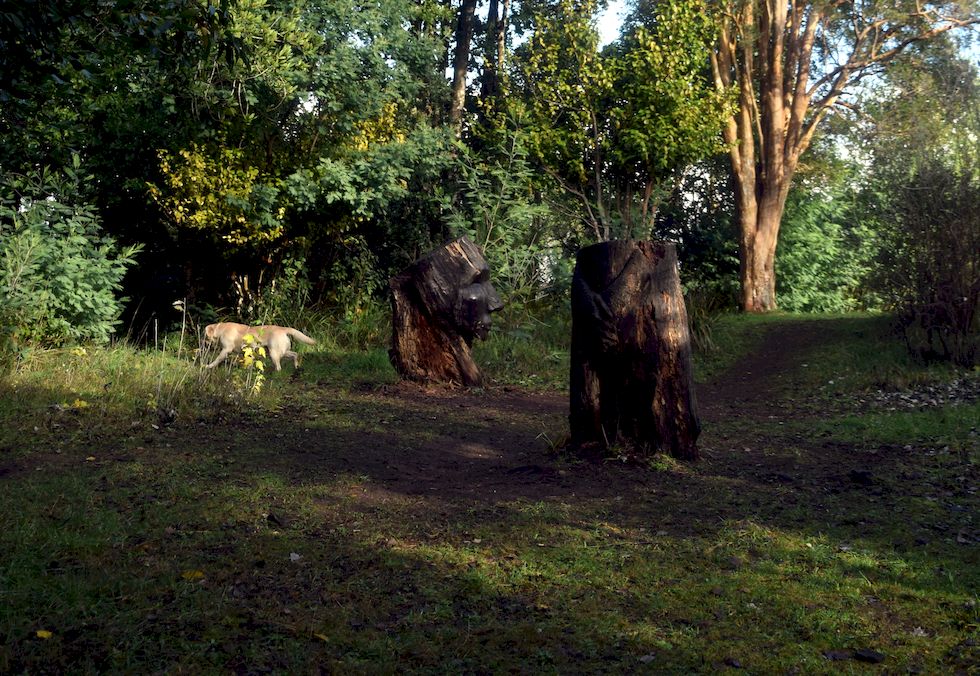 y036ap-0348-1-Puerto-Varas-Philippi-mit-Hund-23-5-m.jpg