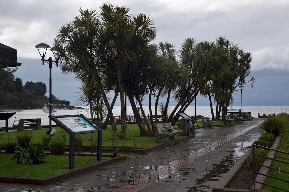 y037ap-0350-1-Puerto-Varas-Mole-Regen-24-5-m.jpg