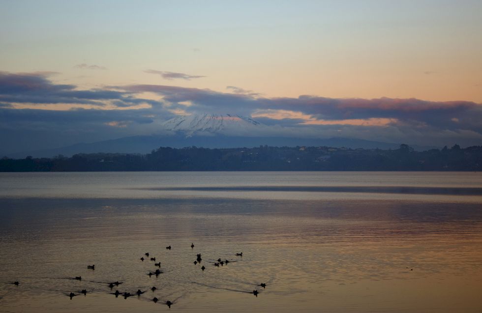 y044ap-0385-1-Puerto-Varas-Mole-Abend-29-5-m.jpg