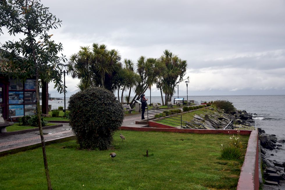 y072ap-0523-1-Puerto-Varas-Mole-Regen-16-6-m.jpg