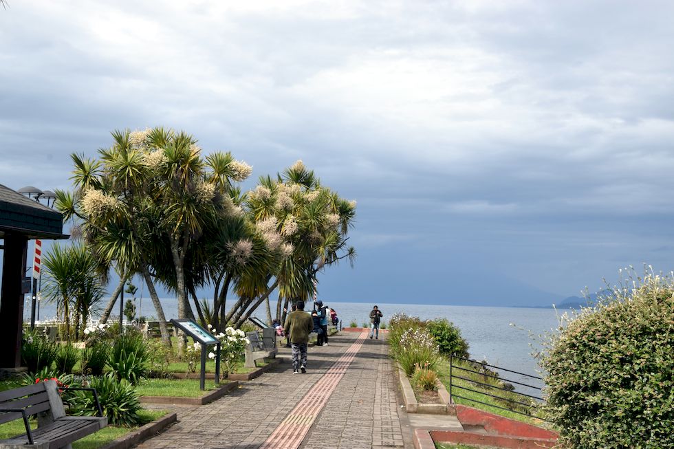 B060ap-0961-1-Puerto-Varas-Mole-Palmeras-5-12-m.jpg