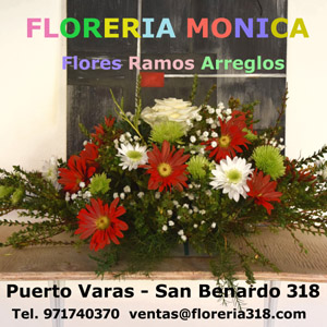 Monique Floreria, San Bernardo 318, Puerto Varas, 3.23