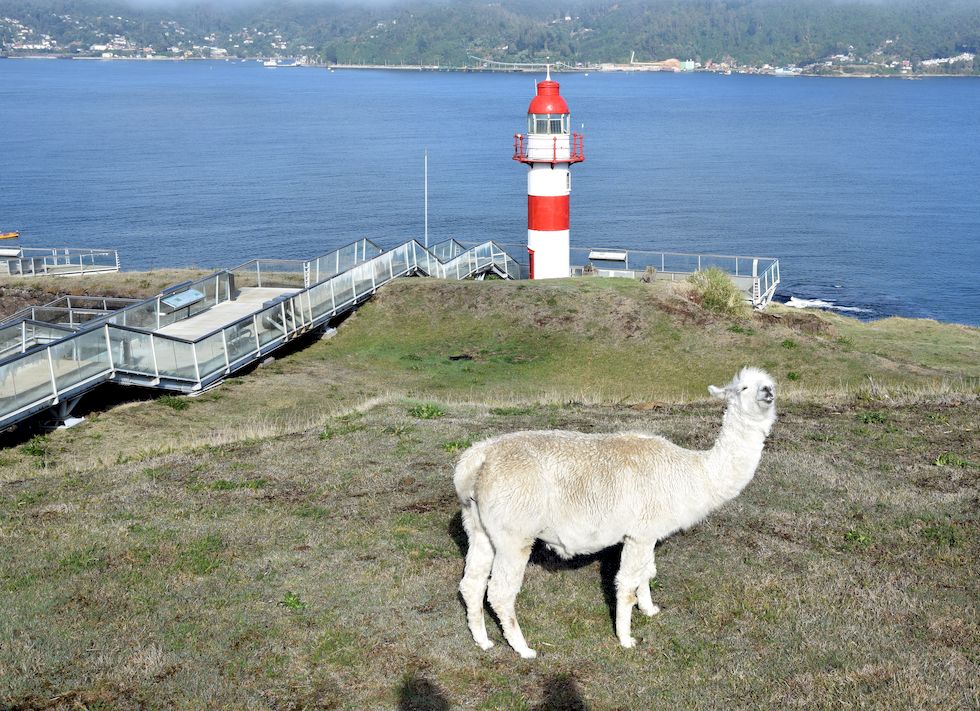 D062-0962-1-Valdivia-Fort-Niebla-29-3-m.jpg