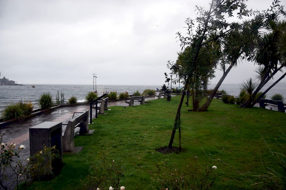 D111ap-1173-1-Puerto-Varas-Mole-Regen-25-4-m.jpg