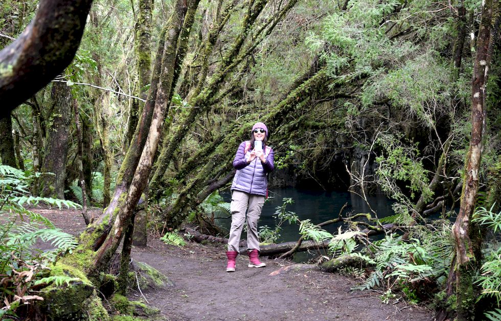 G031ap-0315-1-Puerto-Varas-Sendero-Los-Enamorados-17-9-m.jpg