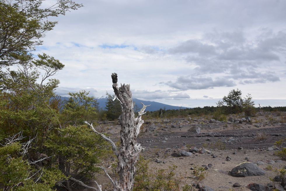 G088ap-0635-1-Puerto-Varas-El-Solitario-1-10-m.jpg