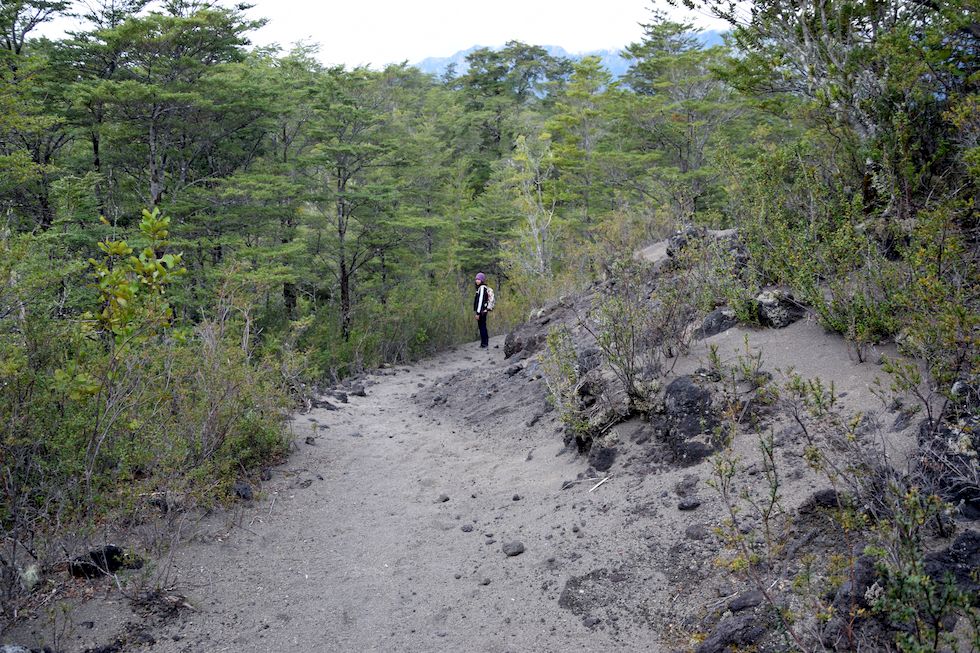 G095ap-0671-1-Puerto-Varas-El-Solitario-1-10-m.jpg