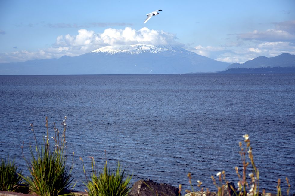 G099ap-0694-1-Puerto-Varas-Mole-Osorno-4-10-m.jpg