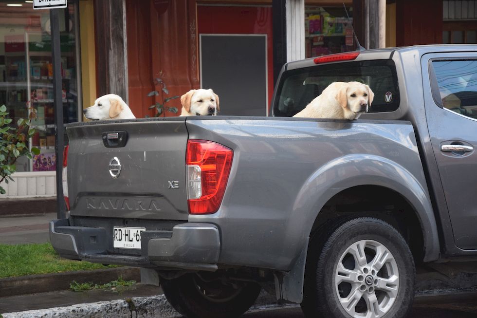 G158ap-0959-1-Puerto-Varas-Camioneta-Hunde-27-10-m.jpg