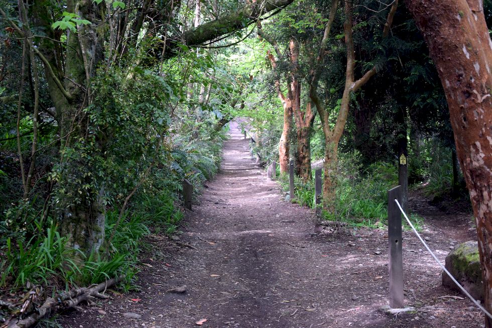 H004ap-0011-1-Puerto-Varas-Cerro-Philippi-2-11-m.jpg