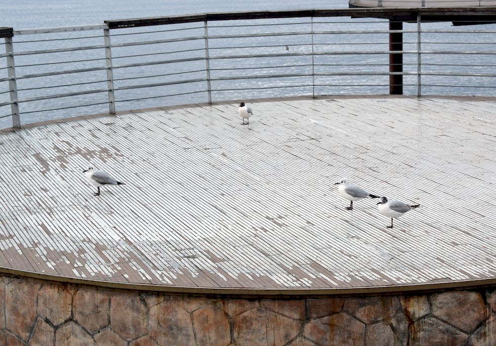 H024ap-0090-1-Puerto-Varas-Mirador-Circular-14-11-m.jpg