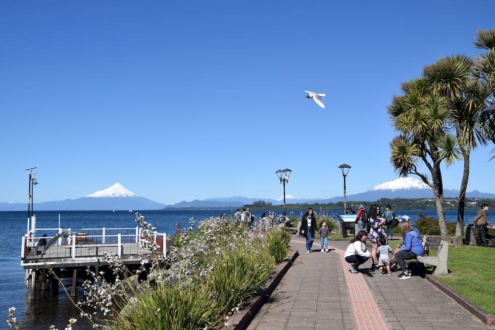 H039ap-0142-1-Puerto-Varas-Mole-23-11-m.jpg