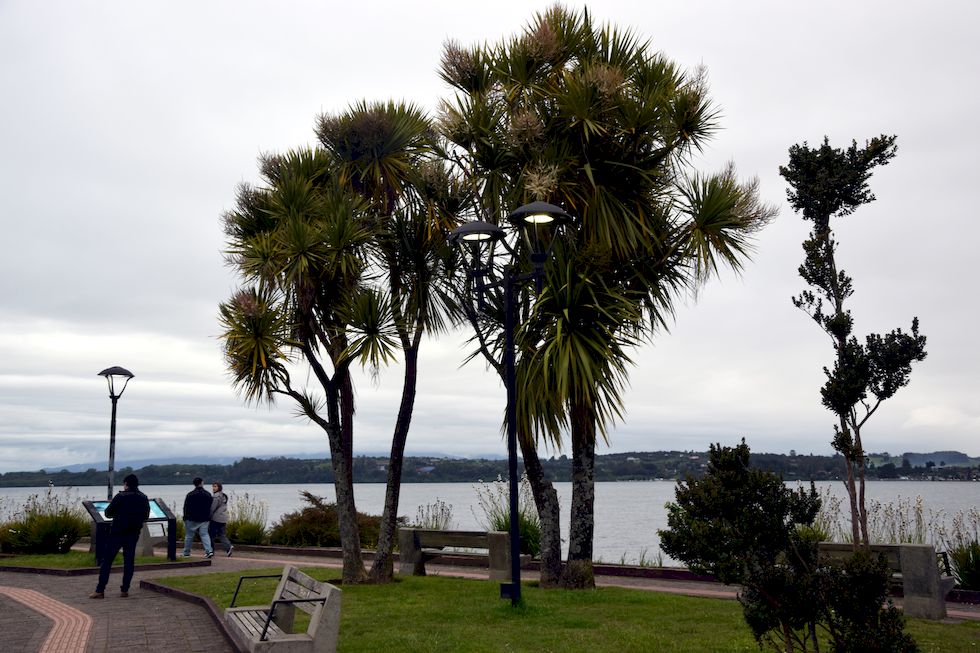 H046ap-0181-1-Puerto-Varas-Mole-29-11-m.jpg