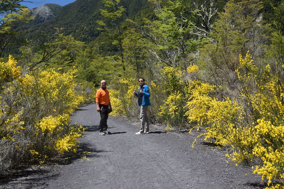 H060ap-0227-1-Puerto-Varas-Petrohue-Sendero-Paso-Desolacion-Juergen-Alejandra-3-12-m.jpg