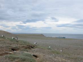 Isla Magdalena