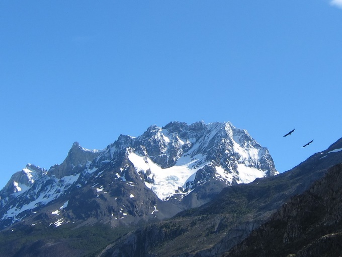 Nationalpark Torres del Paine, zwei Andenkondore beim Paine Grande