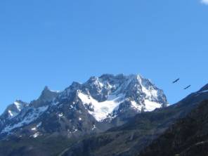 Im NP Torres del Paine