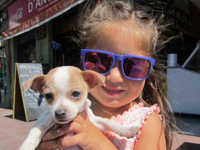 Stolze Hundebesitzerin in Viña del Mar