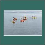 Kayakfahrer am Lago Llanquihue bei der Laguna Verde, 15.12.2018