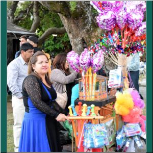 Puerto Varas, Plaza, Organillera, 14.2.2019