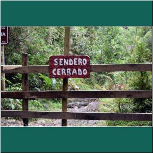 Nationalpark Alerce Andino, 20.2.2019