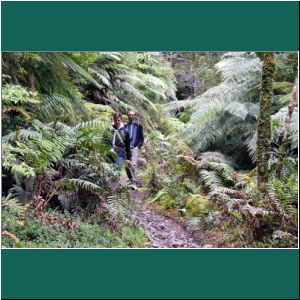 Nationalpark Alerce Andino, Viktor und Wolfgang, 24.2.2019