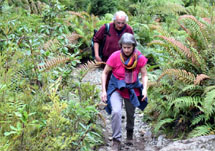 Im Nationalpark Alerce Andino