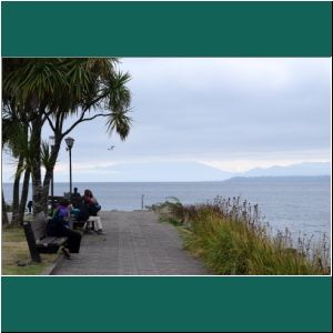 Puerto Varas, Mole