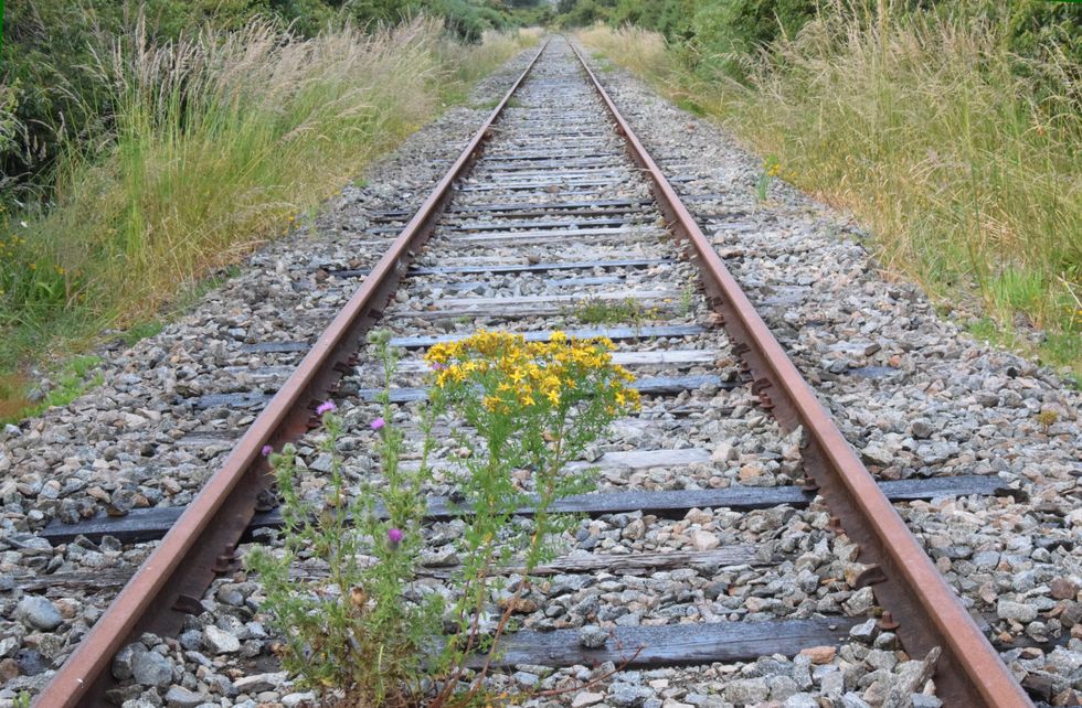 Ein Spaziergang entlang des stillgelegten Bahngleises von Puerto Varas Richtung Llanquihue