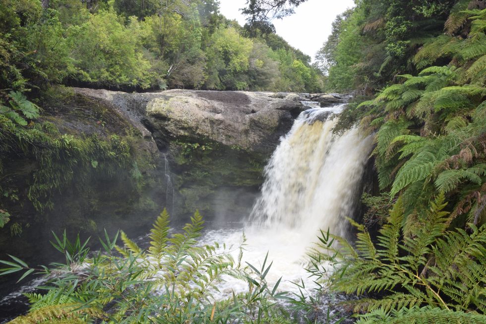 Parque Tepuhueico