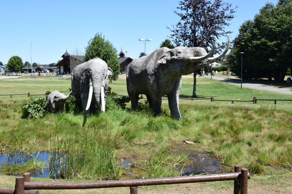 Pleistozän-Museum im Parque Chucaya in Osorno, Gonfoterios