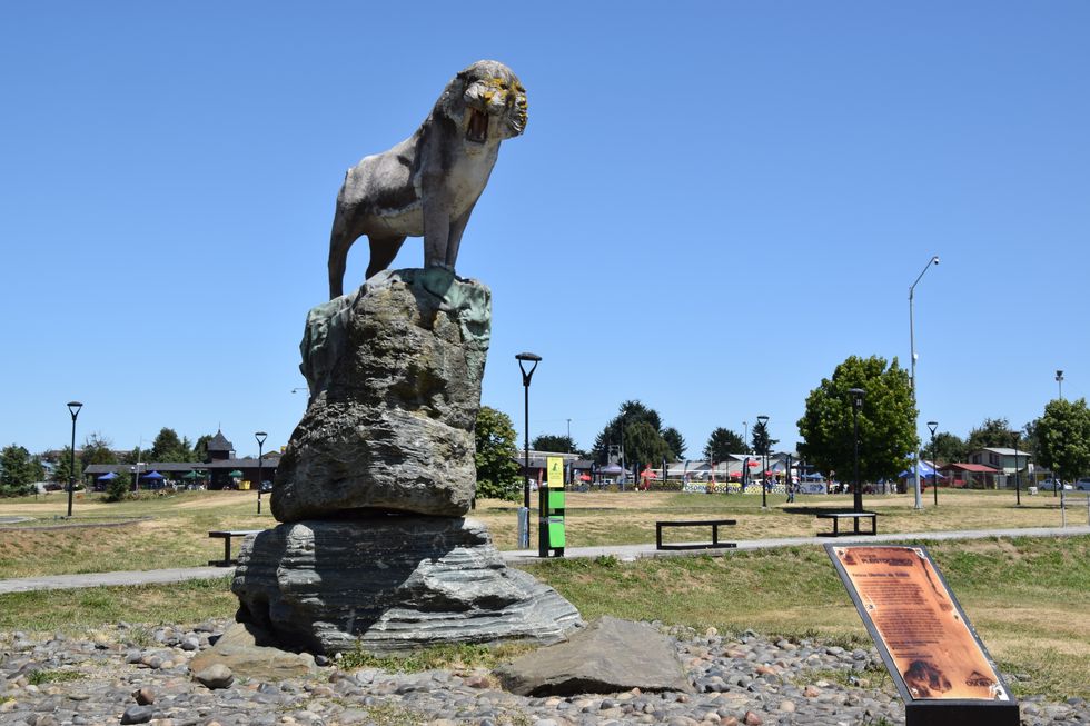 Pleistozän-Museum im Parque Chucaya in Osorno, Felino Dientes de Sable