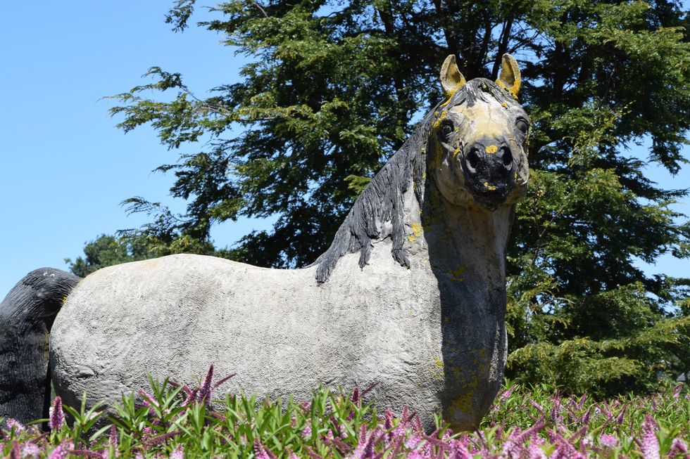 Pleistozän-Museum im Parque Chucaya in Osorno, Caballo Americano