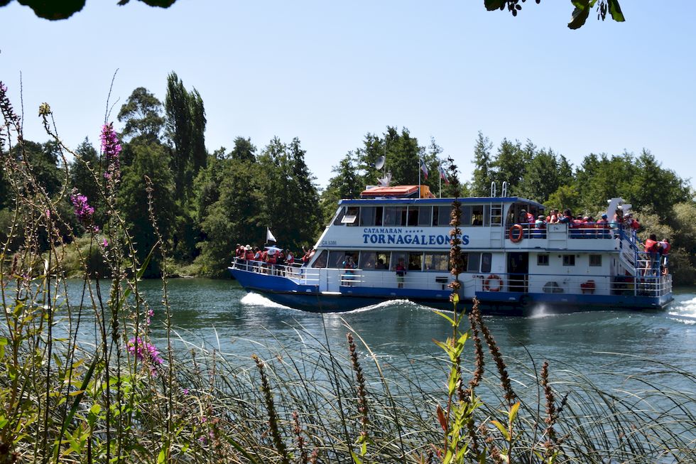 Botanischer Garten in Valdivia, am Rio Cau Cau